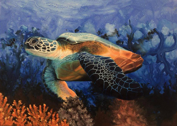 Tartaruga - 50 x 70 - Téc Mista